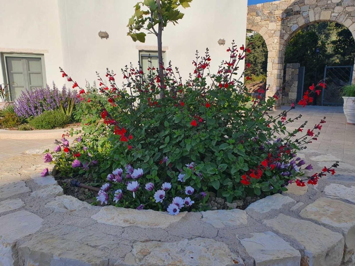 Anamnezia Luxury Suites (Adults Only) Agios Dimitrios  Zewnętrze zdjęcie